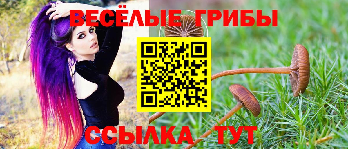 Ликино-Дулёво  Галлюциногенные грибы Psilocybe  Вход с VPN 